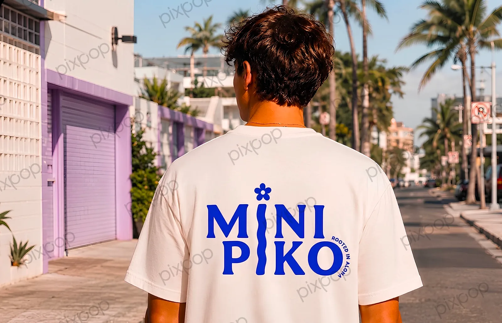 Mini Piko design work
