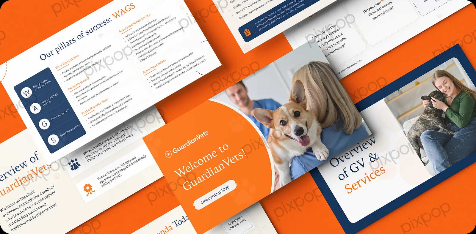 GuardianVets design work